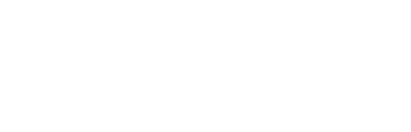 NUV Moema — Planik